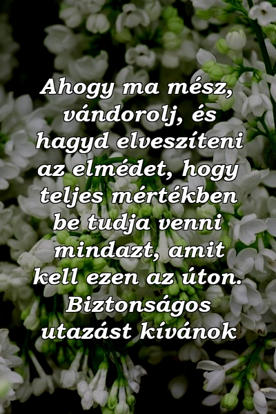 Ahogy ma mész, vándorolj, és hagyd elveszíteni az elmédet, hogy teljes mértékben be tudja venni mindazt, amit kell ezen az úton. Biztonságos utazást kívánok