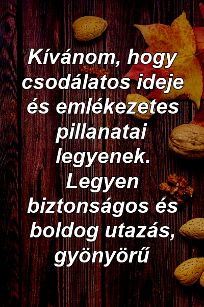 Kívánom, hogy csodálatos ideje és emlékezetes pillanatai legyenek. Legyen biztonságos és boldog utazás, gyönyörű