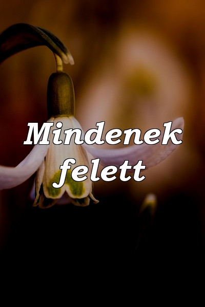 Mindenek felett