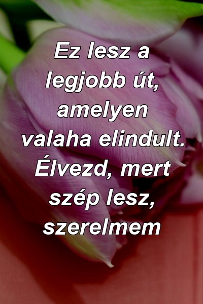 Ez lesz a legjobb út, amelyen valaha elindult. Élvezd, mert szép lesz, szerelmem