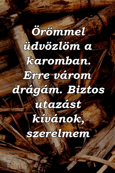 Örömmel üdvözlöm a karomban. Erre várom drágám. Biztos utazást kívánok, szerelmem