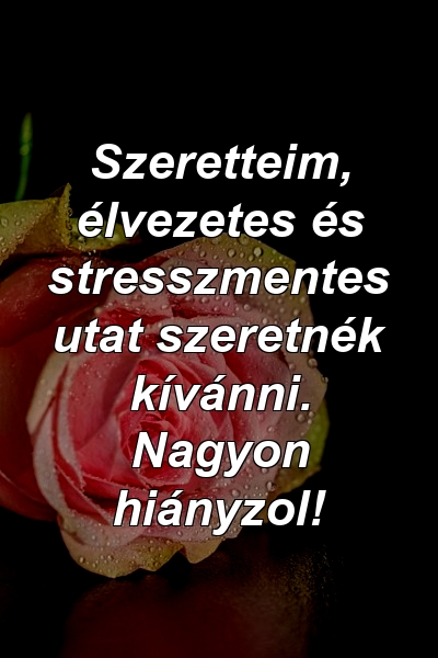 Szeretteim, élvezetes és stresszmentes utat szeretnék kívánni. Nagyon hiányzol!