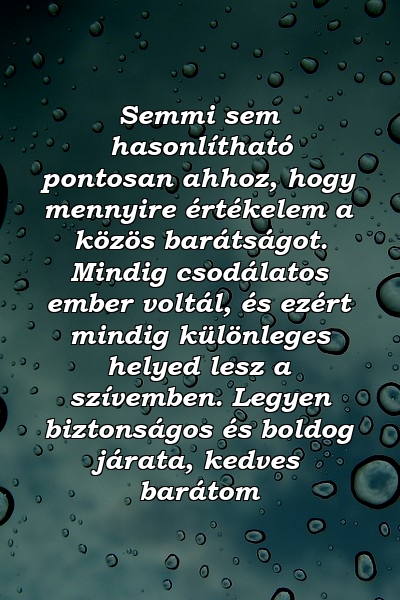 Semmi sem hasonlítható pontosan ahhoz, hogy mennyire értékelem a közös barátságot. Mindig csodálatos ember voltál, és ezért mindig különleges helyed lesz a szívemben. Legyen biztonságos és boldog járata, kedves barátom