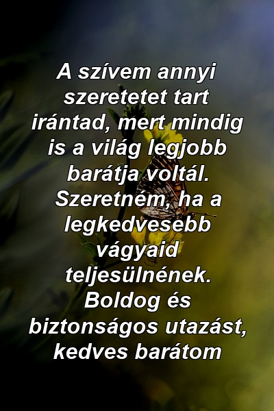 A szívem annyi szeretetet tart irántad, mert mindig is a világ legjobb barátja voltál. Szeretném, ha a legkedvesebb vágyaid teljesülnének. Boldog és biztonságos utazást, kedves barátom