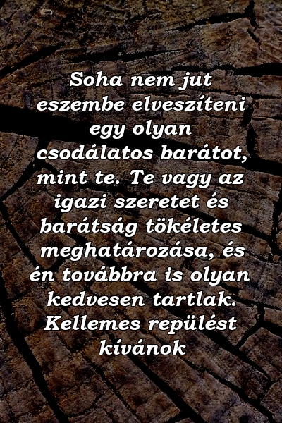 Soha nem jut eszembe elveszíteni egy olyan csodálatos barátot, mint te. Te vagy az igazi szeretet és barátság tökéletes meghatározása, és én továbbra is olyan kedvesen tartlak. Kellemes repülést kívánok