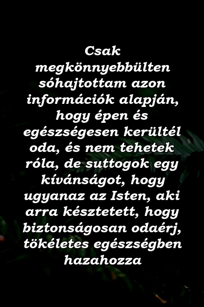 Csak megkönnyebbülten sóhajtottam azon információk alapján, hogy épen és egészségesen kerültél oda, és nem tehetek róla, de suttogok egy kívánságot, hogy ugyanaz az Isten, aki arra késztetett, hogy biztonságosan odaérj, tökéletes egészségben hazahozza