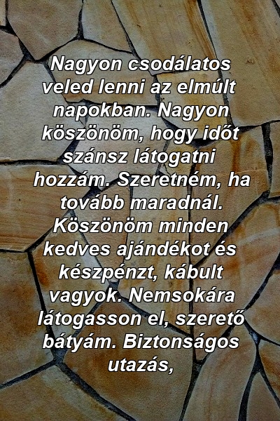 Nagyon csodálatos veled lenni az elmúlt napokban. Nagyon köszönöm, hogy időt szánsz látogatni hozzám. Szeretném, ha tovább maradnál. Köszönöm minden kedves ajándékot és készpénzt, kábult vagyok. Nemsokára látogasson el, szerető bátyám. Biztonságos utazás,