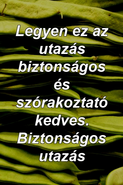 Legyen ez az utazás biztonságos és szórakoztató kedves. Biztonságos utazás