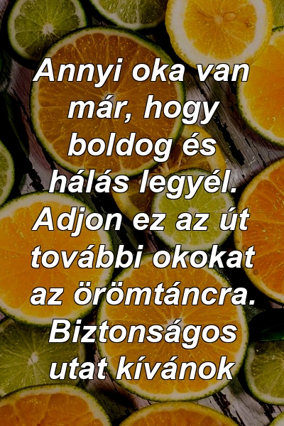 Annyi oka van már, hogy boldog és hálás legyél. Adjon ez az út további okokat az örömtáncra. Biztonságos utat kívánok