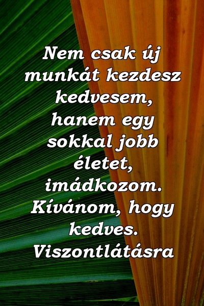 Nem csak új munkát kezdesz kedvesem, hanem egy sokkal jobb életet, imádkozom. Kívánom, hogy kedves. Viszontlátásra