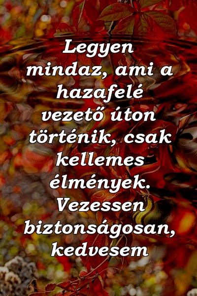 Legyen mindaz, ami a hazafelé vezető úton történik, csak kellemes élmények. Vezessen biztonságosan, kedvesem