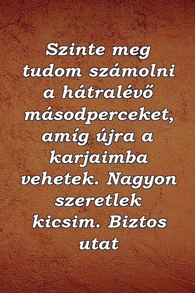 Szinte meg tudom számolni a hátralévő másodperceket, amíg újra a karjaimba vehetek. Nagyon szeretlek kicsim. Biztos utat