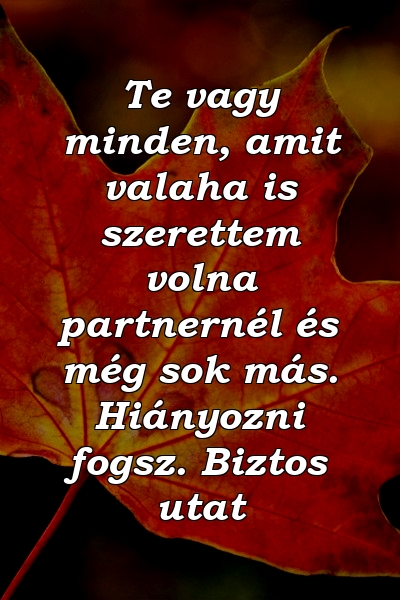 Te vagy minden, amit valaha is szerettem volna partnernél és még sok más. Hiányozni fogsz. Biztos utat