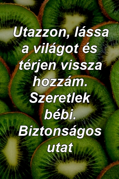 Utazzon, lássa a világot és térjen vissza hozzám. Szeretlek bébi. Biztonságos utat