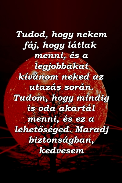 Tudod, hogy nekem fáj, hogy látlak menni, és a legjobbakat kívánom neked az utazás során. Tudom, hogy mindig is oda akartál menni, és ez a lehetőséged. Maradj biztonságban, kedvesem