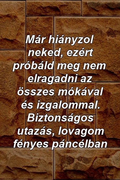 Már hiányzol neked, ezért próbáld meg nem elragadni az összes mókával és izgalommal. Biztonságos utazás, lovagom fényes páncélban