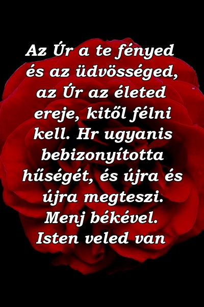 Az Úr a te fényed és az üdvösséged, az Úr az életed ereje, kitől félni kell. Hr ugyanis bebizonyította hűségét, és újra és újra megteszi. Menj békével. Isten veled van