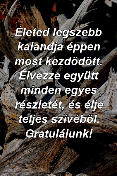 Életed legszebb kalandja éppen most kezdődött. Élvezze együtt minden egyes részletét, és élje teljes szívéből. Gratulálunk!