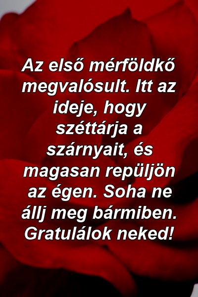 Az első mérföldkő megvalósult. Itt az ideje, hogy széttárja a szárnyait, és magasan repüljön az égen. Soha ne állj meg bármiben. Gratulálok neked!