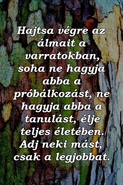 Hajtsa végre az álmait a varratokban, soha ne hagyja abba a próbálkozást, ne hagyja abba a tanulást, élje teljes életében. Adj neki mást, csak a legjobbat.