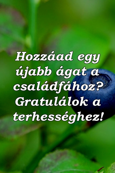 Hozzáad egy újabb ágat a családfához? Gratulálok a terhességhez!