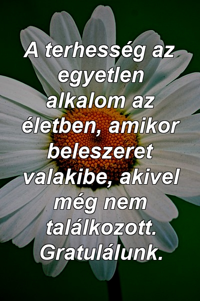 A terhesség az egyetlen alkalom az életben, amikor beleszeret valakibe, akivel még nem találkozott. Gratulálunk.