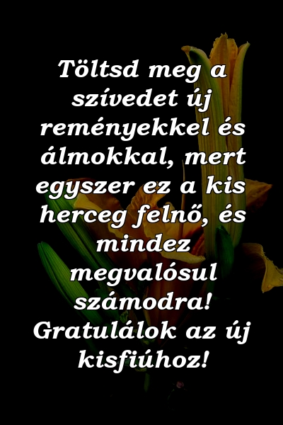 Töltsd meg a szívedet új reményekkel és álmokkal, mert egyszer ez a kis herceg felnő, és mindez megvalósul számodra! Gratulálok az új kisfiúhoz!