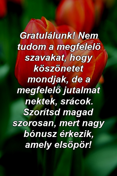 Gratulálunk! Nem tudom a megfelelő szavakat, hogy köszönetet mondjak, de a megfelelő jutalmat nektek, srácok. Szorítsd magad szorosan, mert nagy bónusz érkezik, amely elsöpör!