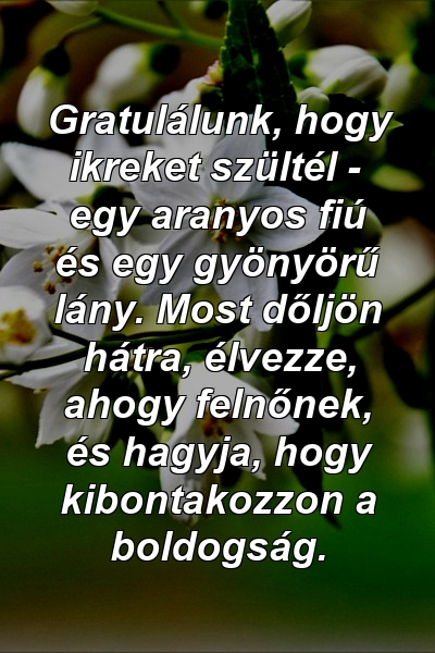 Gratulálunk, hogy ikreket szültél - egy aranyos fiú és egy gyönyörű lány. Most dőljön hátra, élvezze, ahogy felnőnek, és hagyja, hogy kibontakozzon a boldogság.