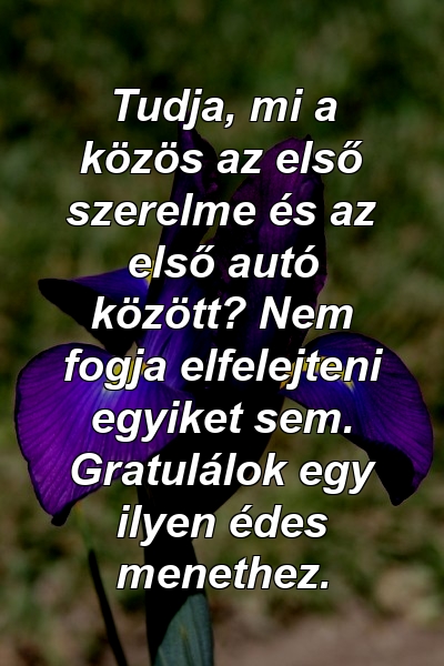 Tudja, mi a közös az első szerelme és az első autó között? Nem fogja elfelejteni egyiket sem. Gratulálok egy ilyen édes menethez.