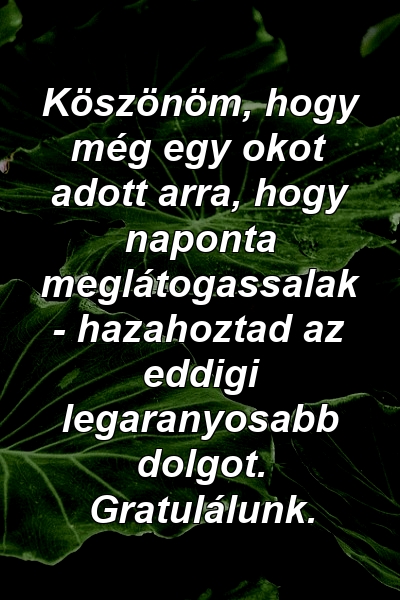 Köszönöm, hogy még egy okot adott arra, hogy naponta meglátogassalak - hazahoztad az eddigi legaranyosabb dolgot. Gratulálunk.