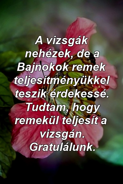 A vizsgák nehézek, de a Bajnokok remek teljesítményükkel teszik érdekessé. Tudtam, hogy remekül teljesít a vizsgán. Gratulálunk.