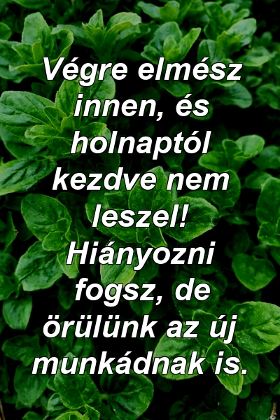 Végre elmész innen, és holnaptól kezdve nem leszel! Hiányozni fogsz, de örülünk az új munkádnak is.