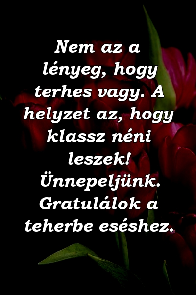 Nem az a lényeg, hogy terhes vagy. A helyzet az, hogy klassz néni leszek! Ünnepeljünk. Gratulálok a teherbe eséshez.