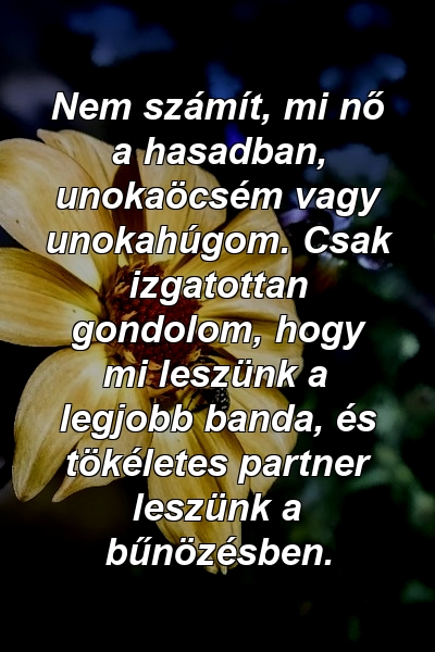 Nem számít, mi nő a hasadban, unokaöcsém vagy unokahúgom. Csak izgatottan gondolom, hogy mi leszünk a legjobb banda, és tökéletes partner leszünk a bűnözésben.