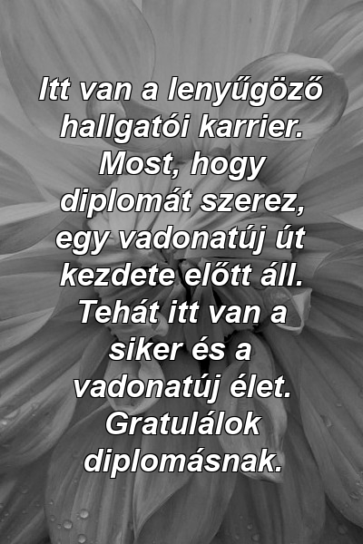 Itt van a lenyűgöző hallgatói karrier. Most, hogy diplomát szerez, egy vadonatúj út kezdete előtt áll. Tehát itt van a siker és a vadonatúj élet. Gratulálok diplomásnak.