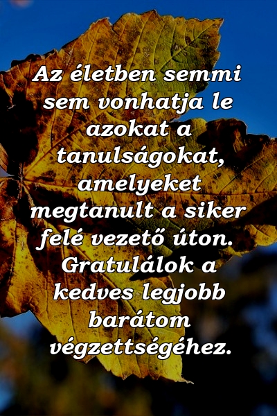 Az életben semmi sem vonhatja le azokat a tanulságokat, amelyeket megtanult a siker felé vezető úton. Gratulálok a kedves legjobb barátom végzettségéhez.