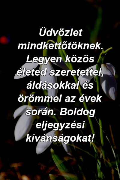 Üdvözlet mindkettőtöknek. Legyen közös életed szeretettel, áldásokkal és örömmel az évek során. Boldog eljegyzési kívánságokat!