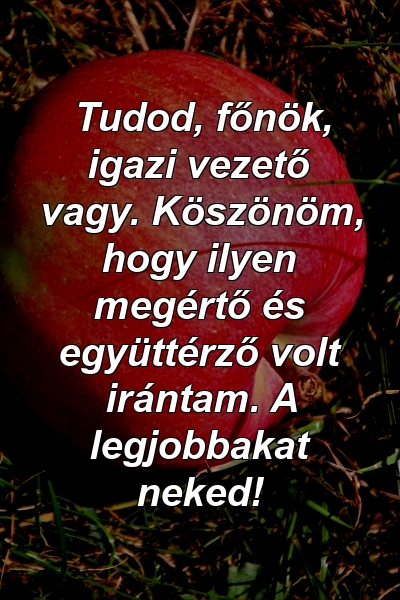 Tudod, főnök, igazi vezető vagy. Köszönöm, hogy ilyen megértő és együttérző volt irántam. A legjobbakat neked!