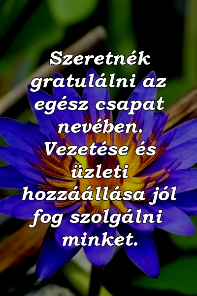 Szeretnék gratulálni az egész csapat nevében. Vezetése és üzleti hozzáállása jól fog szolgálni minket.