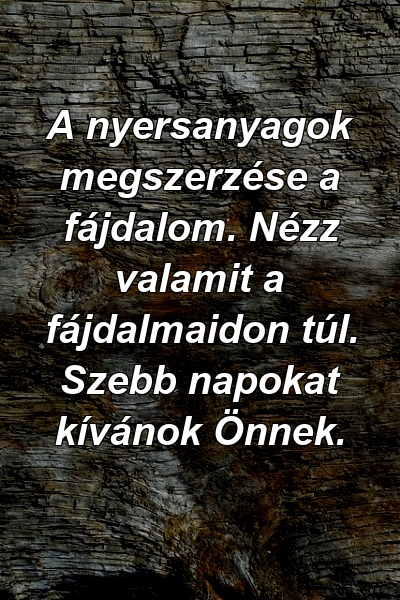 A nyersanyagok megszerzése a fájdalom. Nézz valamit a fájdalmaidon túl. Szebb napokat kívánok Önnek.