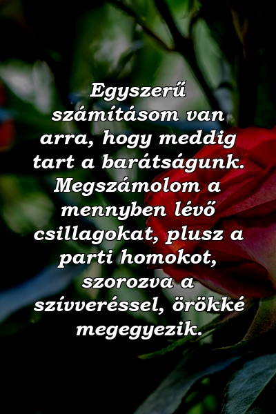 Egyszerű számításom van arra, hogy meddig tart a barátságunk. Megszámolom a mennyben lévő csillagokat, plusz a parti homokot, szorozva a szívveréssel, örökké megegyezik.